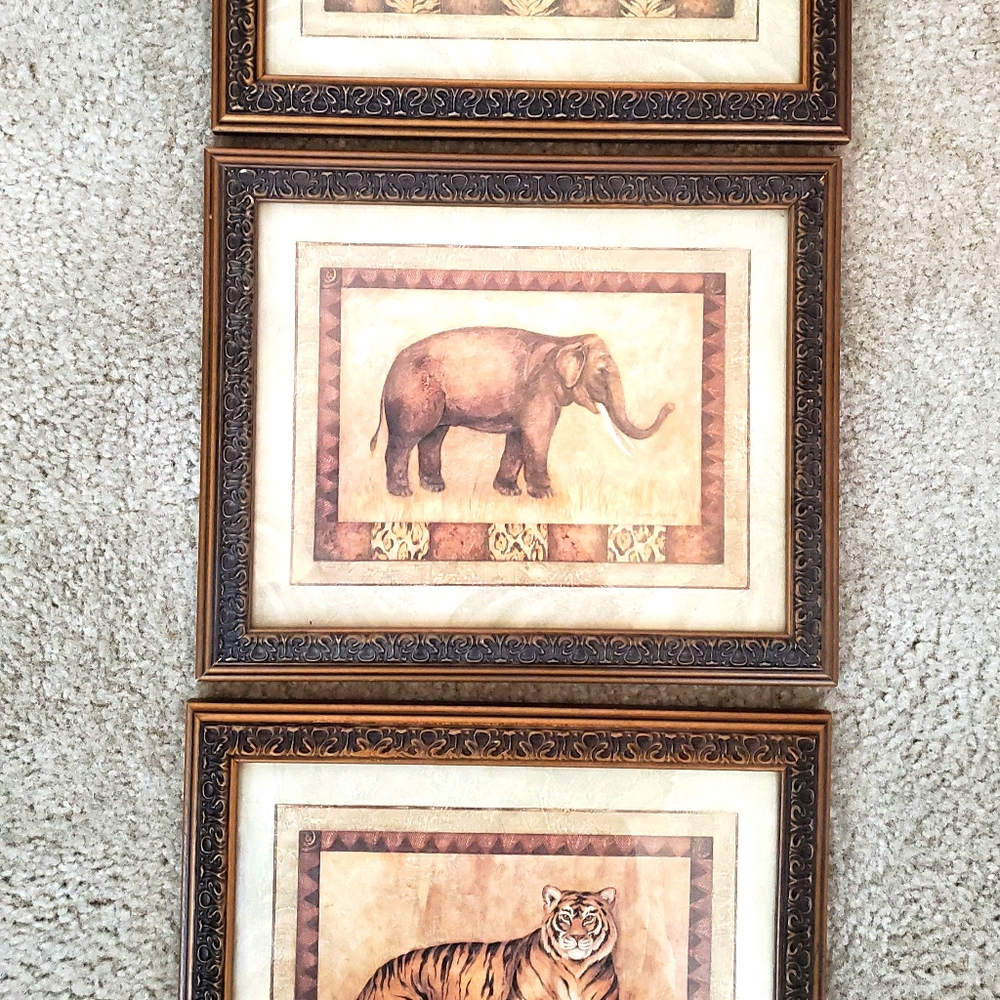 Set of 3 Jungle Art Framed Prints